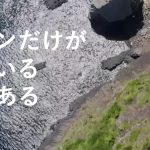 株式会社エムツープランにインタビューさせて頂きました